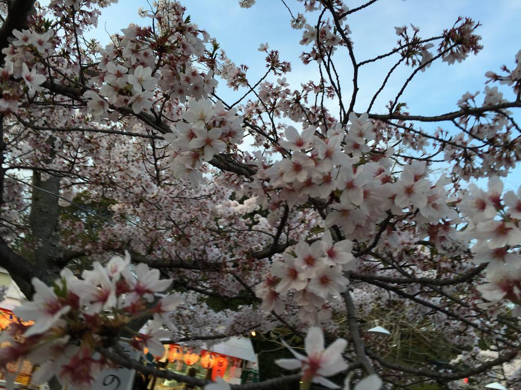 Ryokan Uemura Kyoto Exteriör bild
