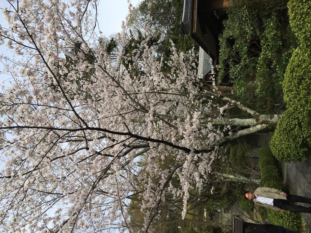 Ryokan Uemura Kyoto Exteriör bild