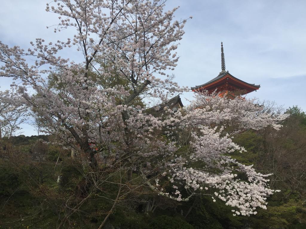 Ryokan Uemura Kyoto Exteriör bild